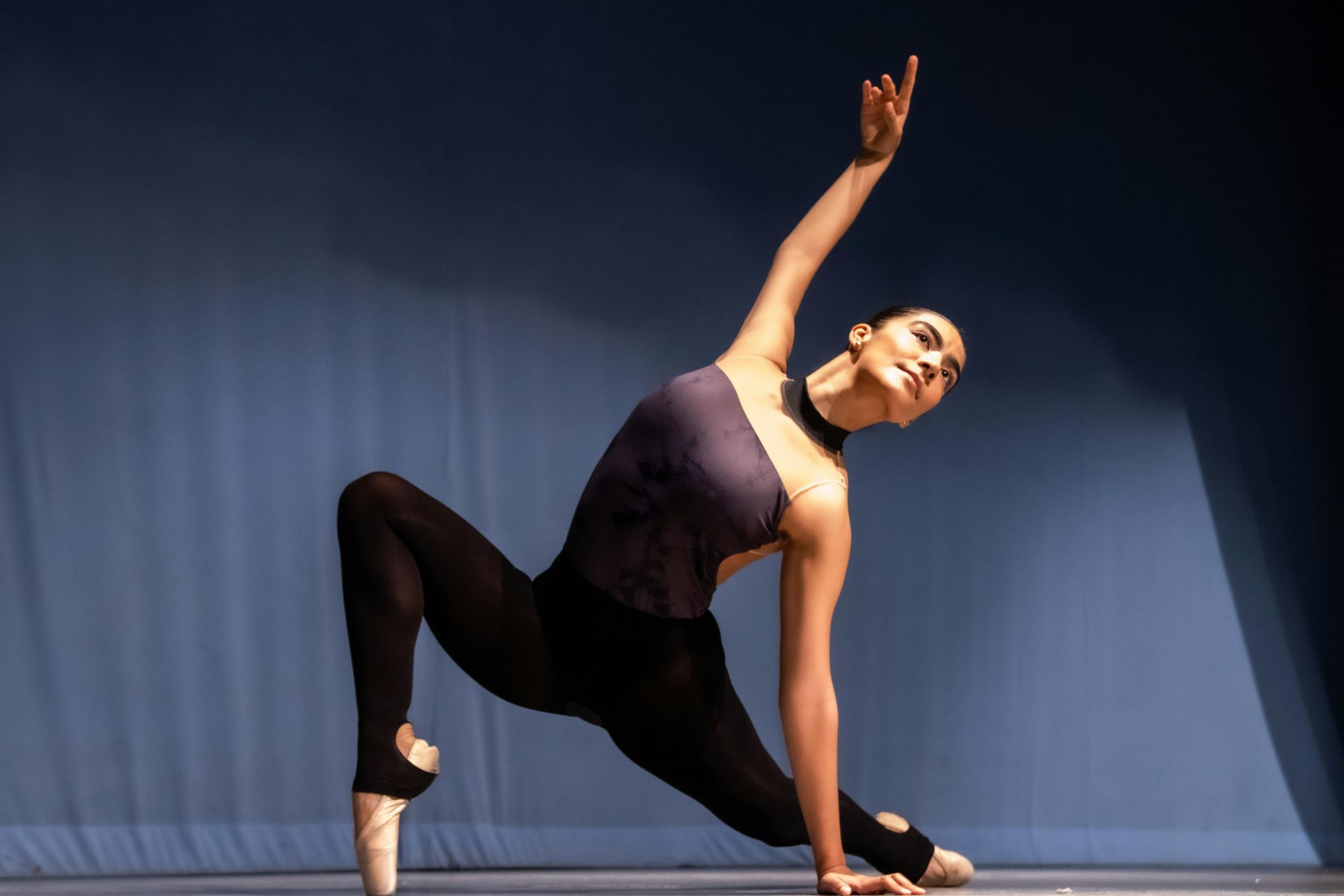 arts majors | visual and performing arts